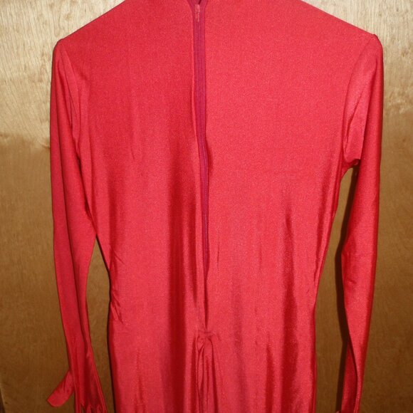 2nd Skin Devil Red FULL BODYSUIT ZENTAI Gimp Costume Great for Halloween - NEW! - Picture 7 of 8